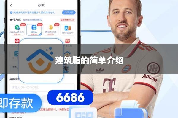 建筑脂的简单介绍